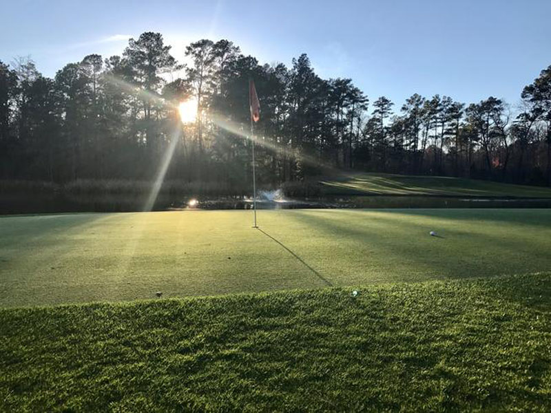 Gallery Lumberjack National