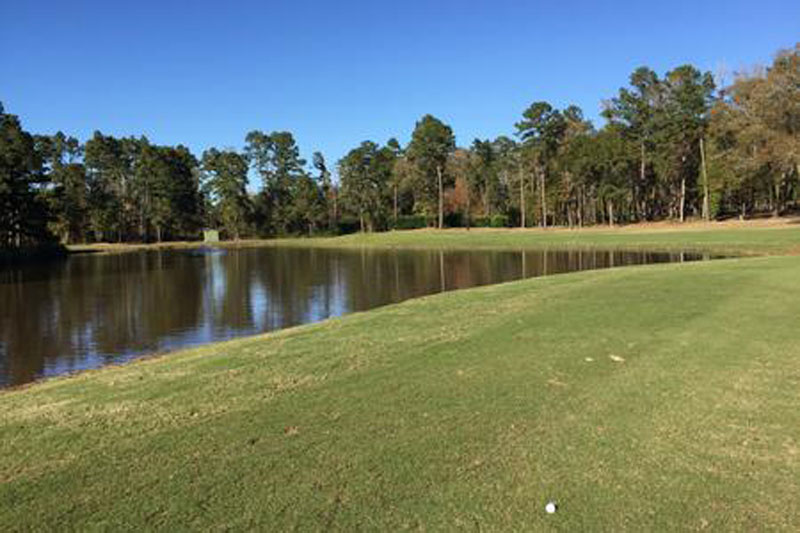 Gallery Lumberjack National