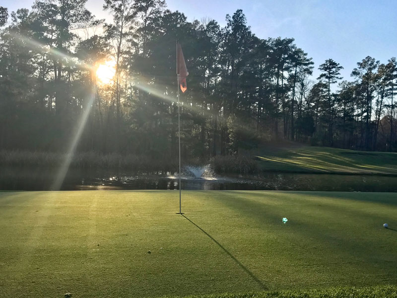 Gallery Lumberjack National