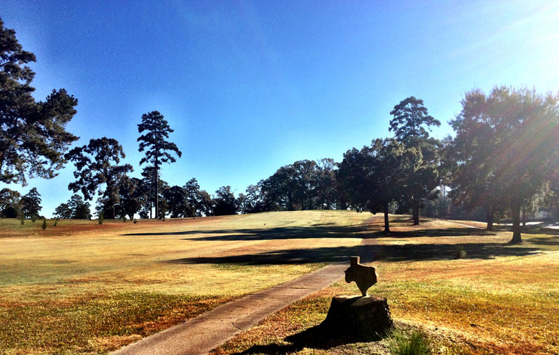 Gallery Lumberjack National