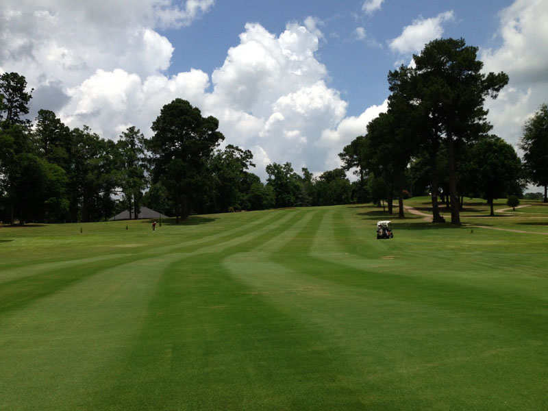 Gallery Lumberjack National