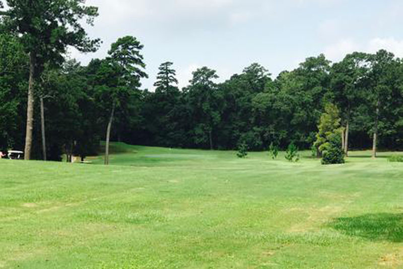 Gallery Lumberjack National